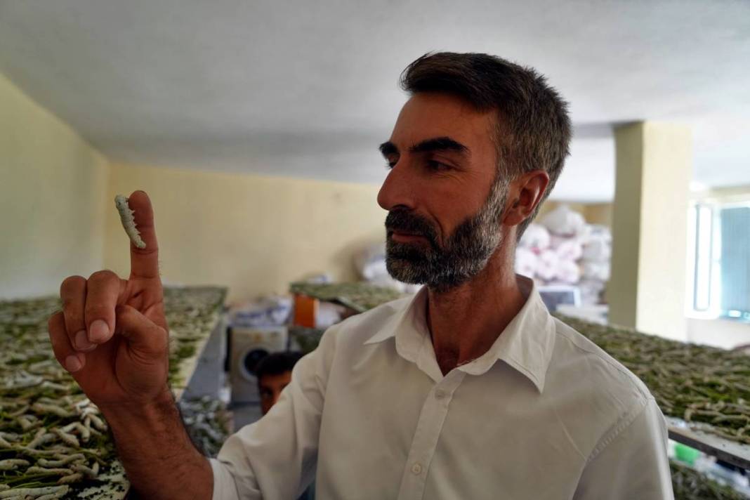 Yeni bir gelir kapısı: 50 günde binlerce lira kazanma fırsatı! Devletten alım garantisi var 11